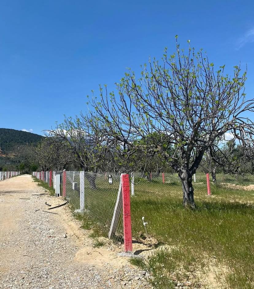 Kardeşler Gayrimenkul 